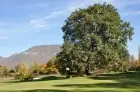 Golf du Granier-Apremont