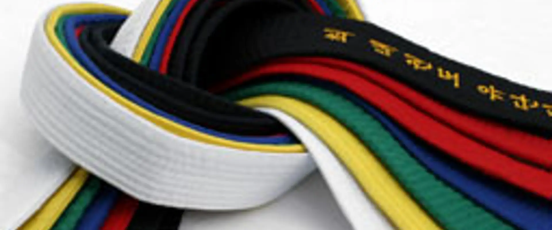 Enfield School of Tae Kwon Do