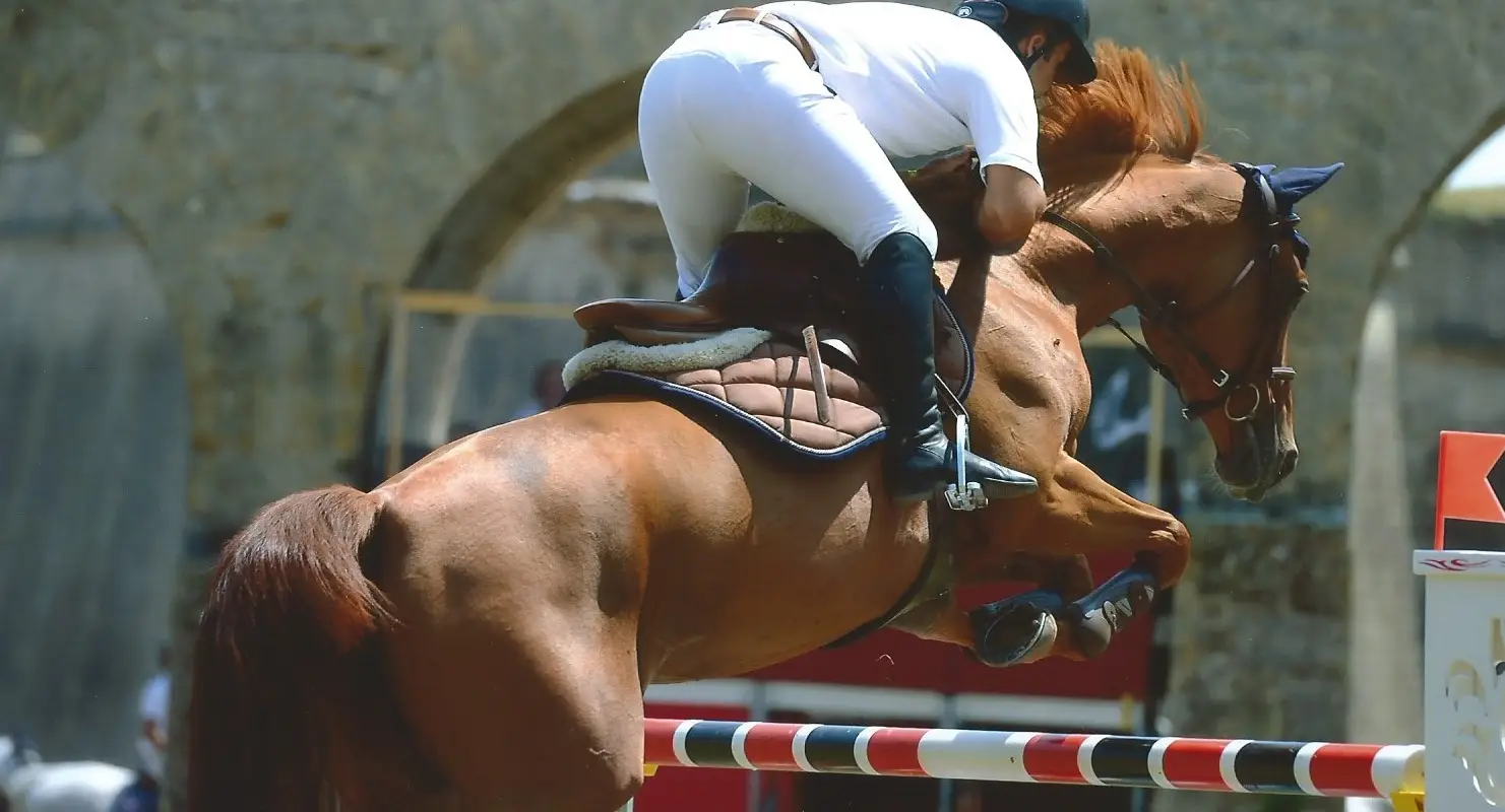 CENTRE EQUESTRE DES PINS