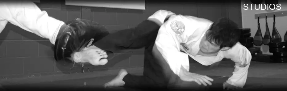 Jin Pal Hapkido Martial Arts Studio