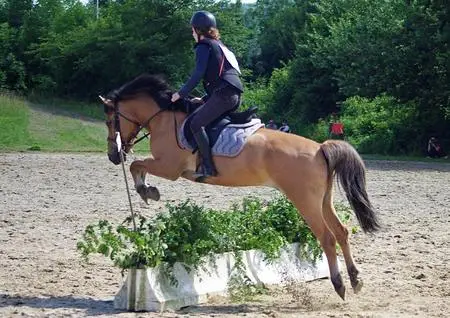 Equestrian Center D'artemare