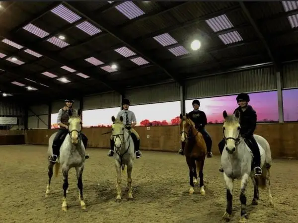 Rebecca Drane Dressage