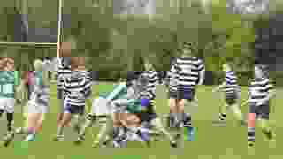 Havant Rugby Football Club