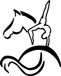 Diamond Willow Vaulting Club