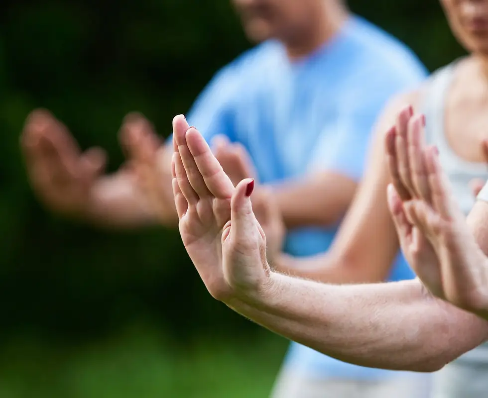 Taiji & Qigong