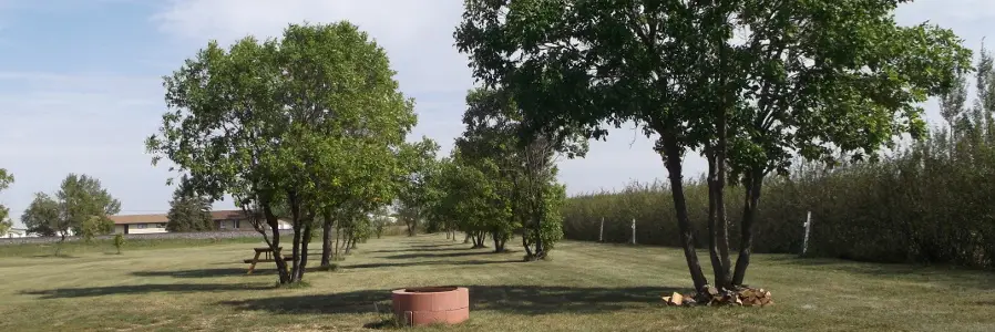 Lang Community Skating Rink