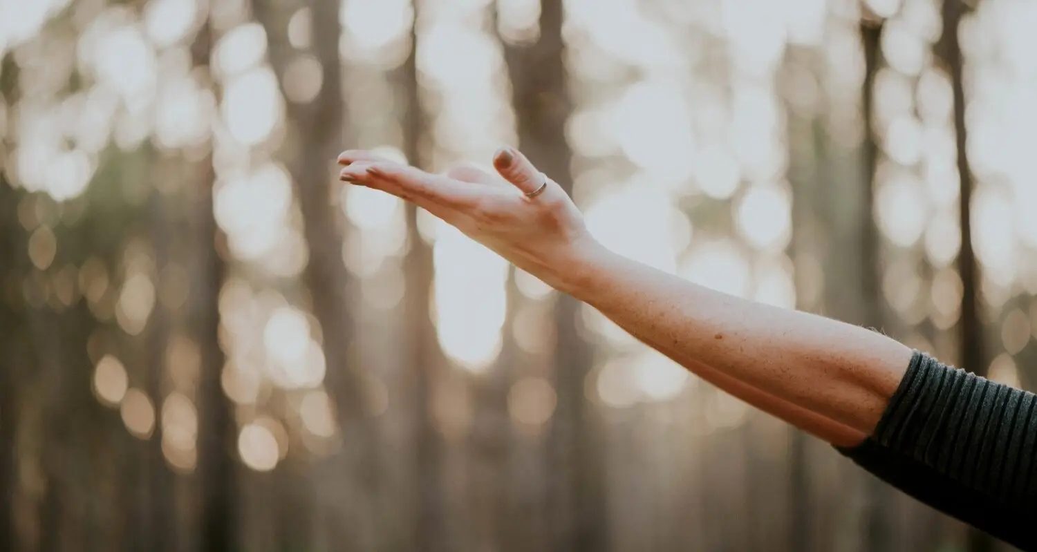 Yoga Borne Ltd