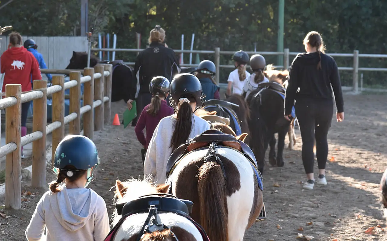 CENTRE EQUESTRE SALONAIS