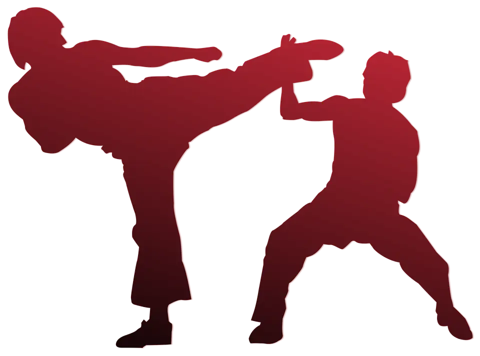 Karate Section Paloise Arts Martiaux