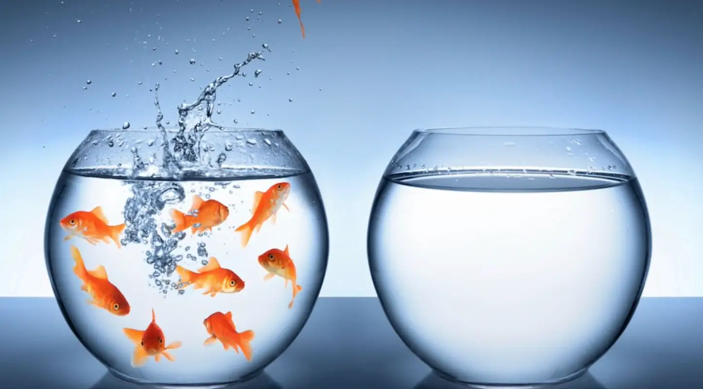 Marie-Capucine Carles - Coaching Professional Business Dirigeant