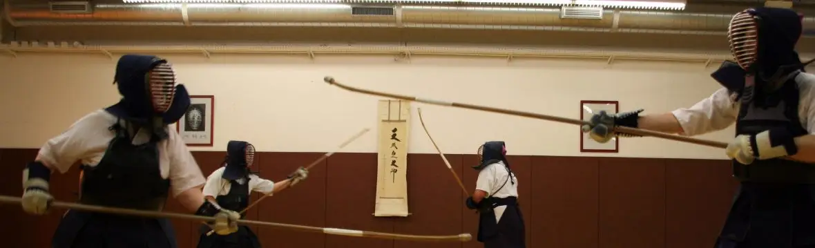 Acbb Naginata