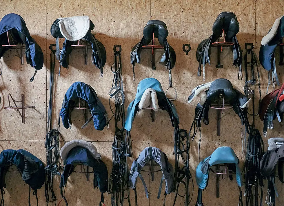 Element Equestrian