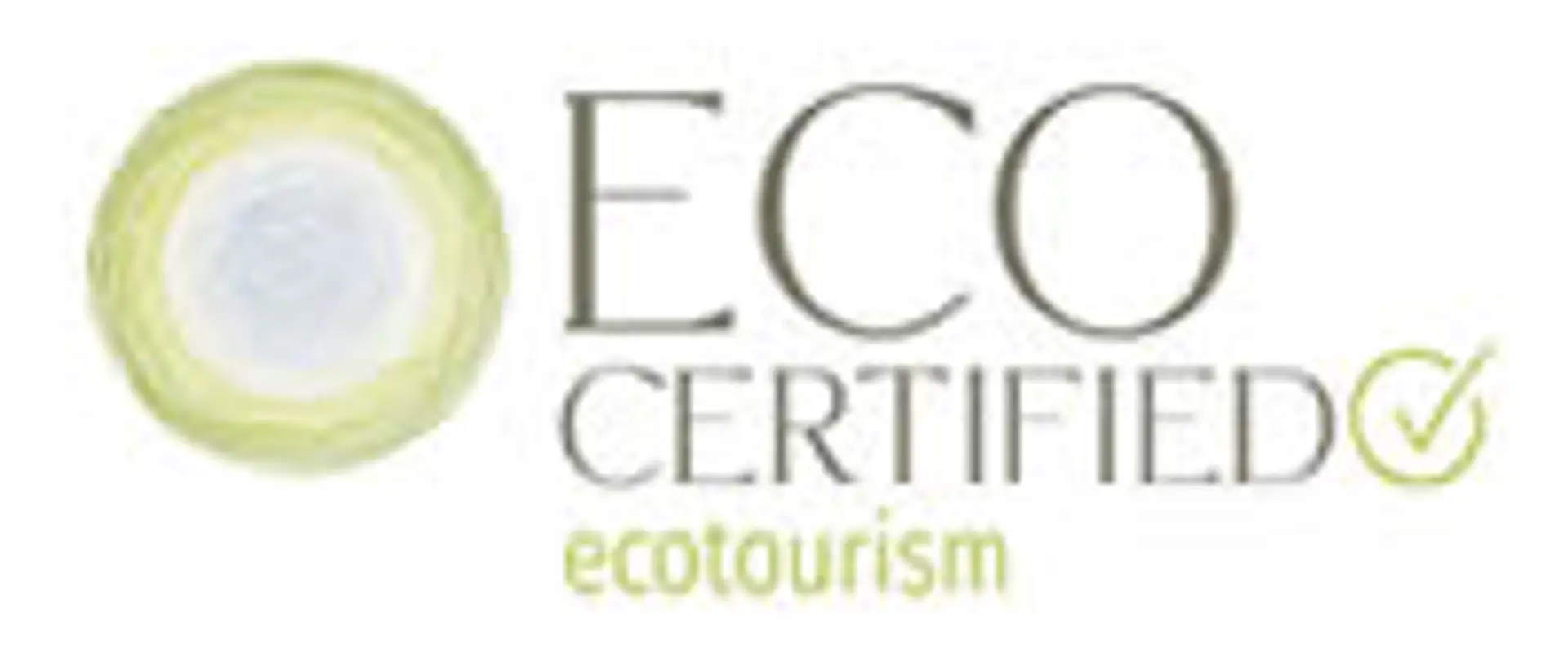 Absolute Ocean Charters