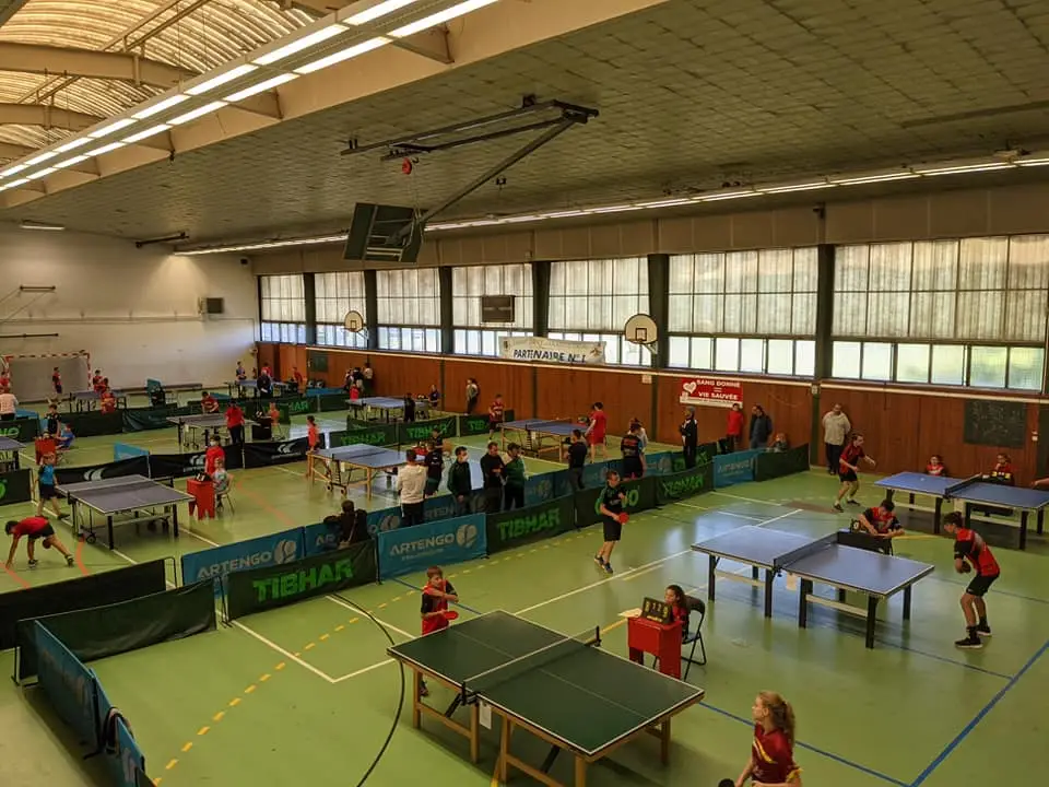 Tennis de Table Briviste