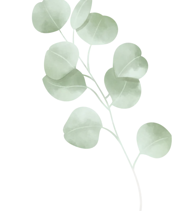 Pure Joy Naturopathy