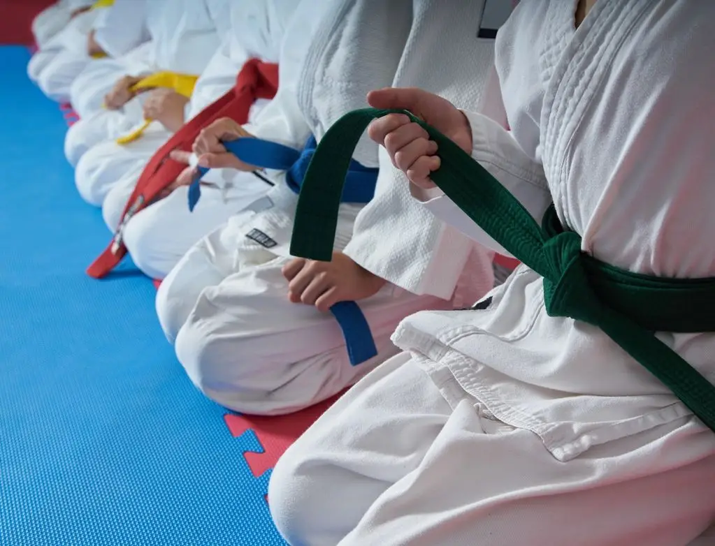 Taunton Karate Club
