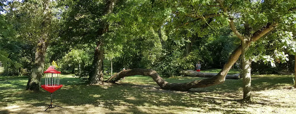 Parcours de Disc Golf du Bois Magnier