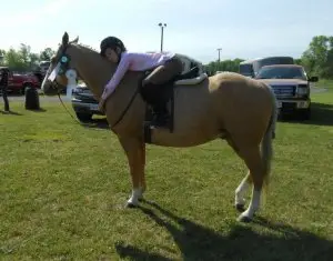 Miron Valley Stable & Riding School