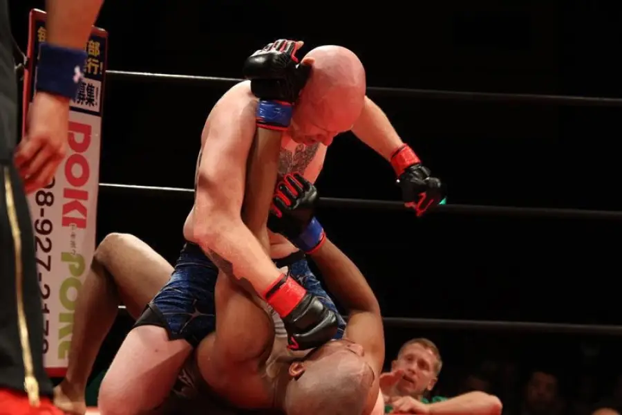 MMA TIGERS