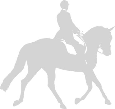 Lavant Equestrian