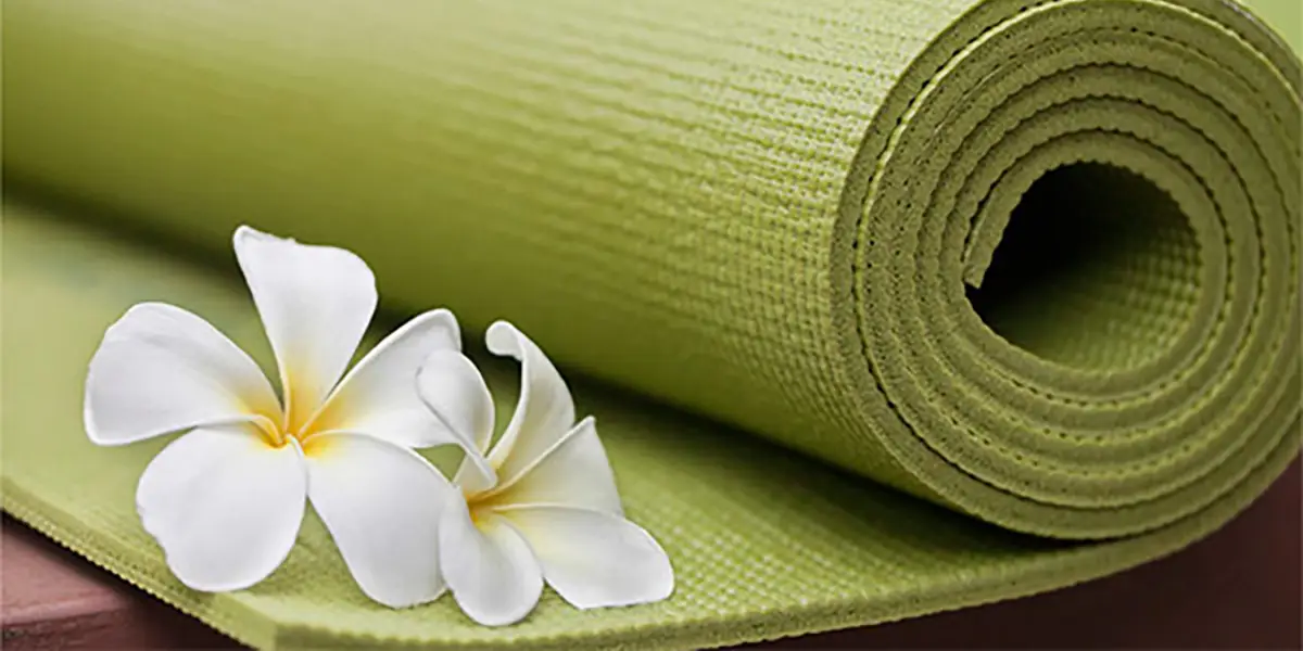 Yoga Equilibre