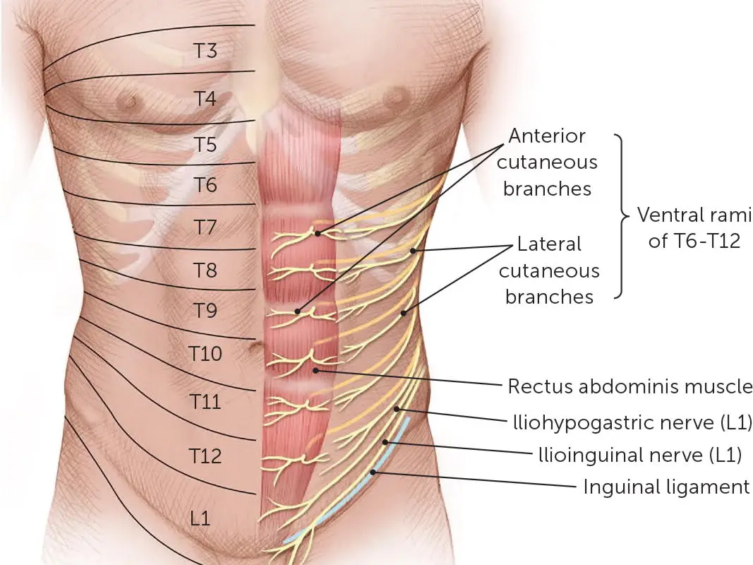 Central Health Physiotherapy