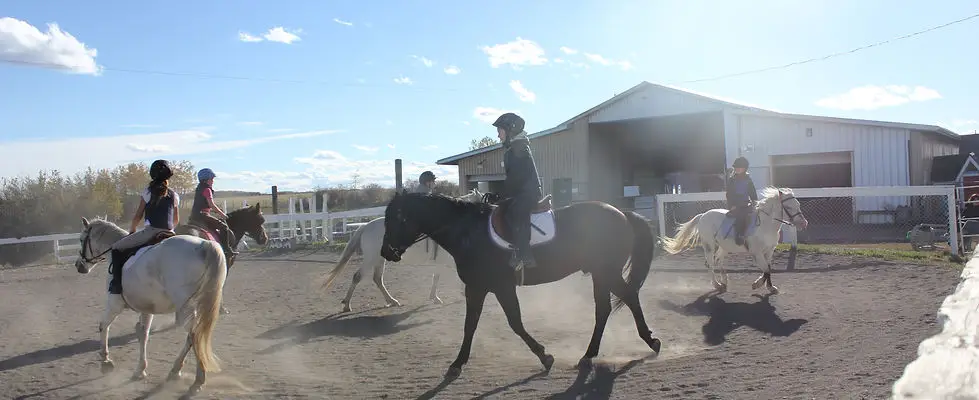 Simpson's Equine Activities