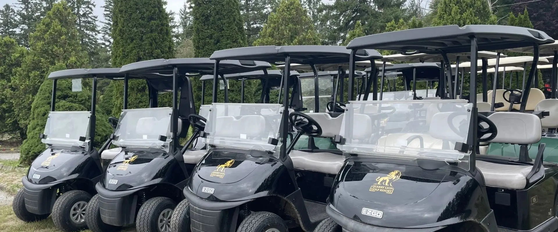 Quarry Lion Golf Resort