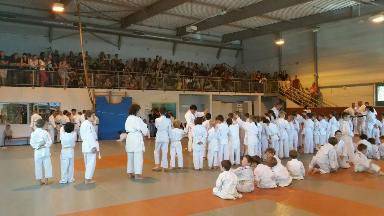 Judo Club Ancenis