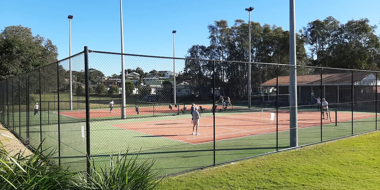 Scott's head tennis club