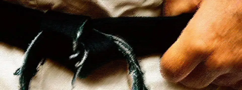 Sandokai karate