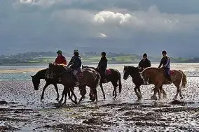 Anglesey Riding Centre