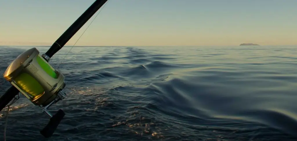 Whakatane Sportfishing Club