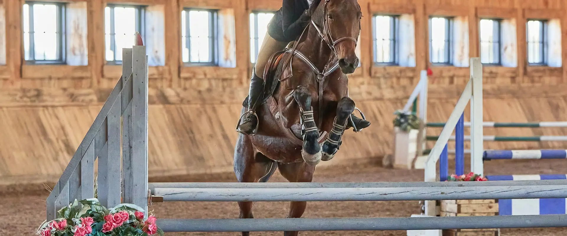 Meadowlarke Stables