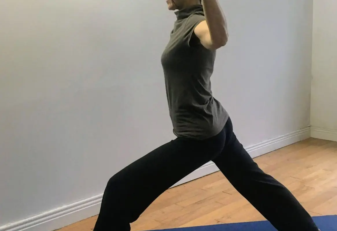 The Yoga Process