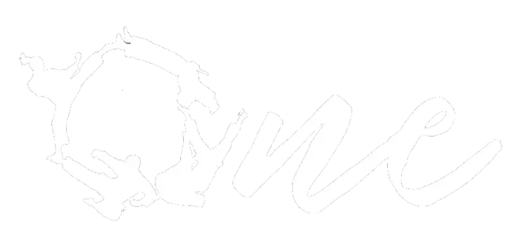 ONE Martial Arts