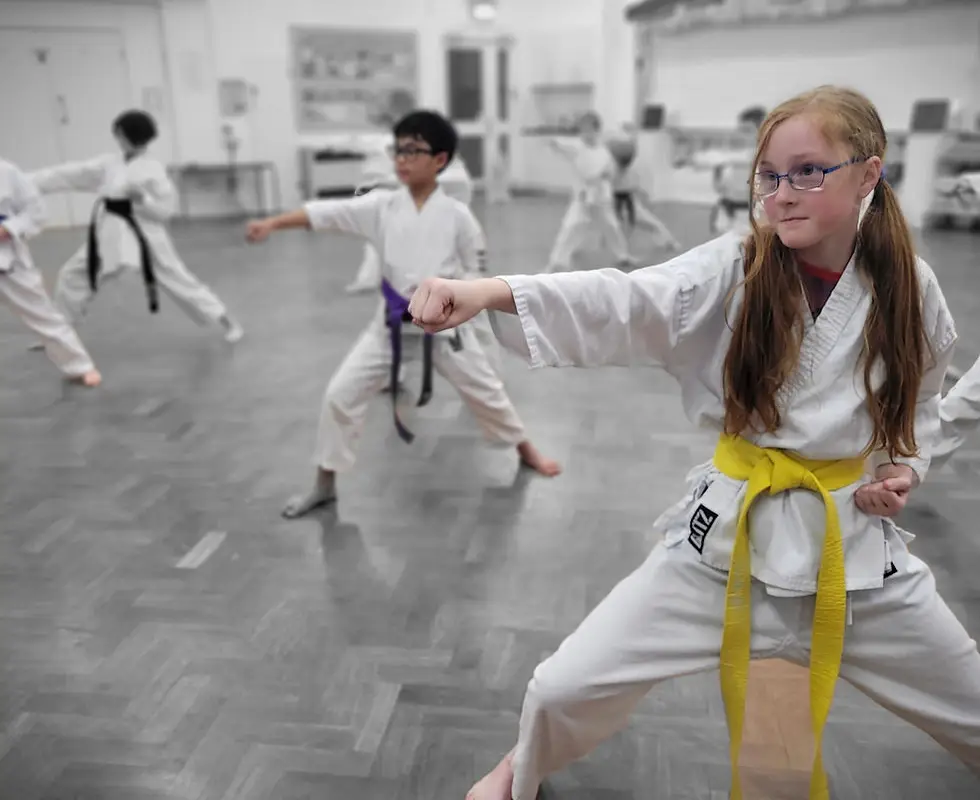 Silwood Park Karate Club