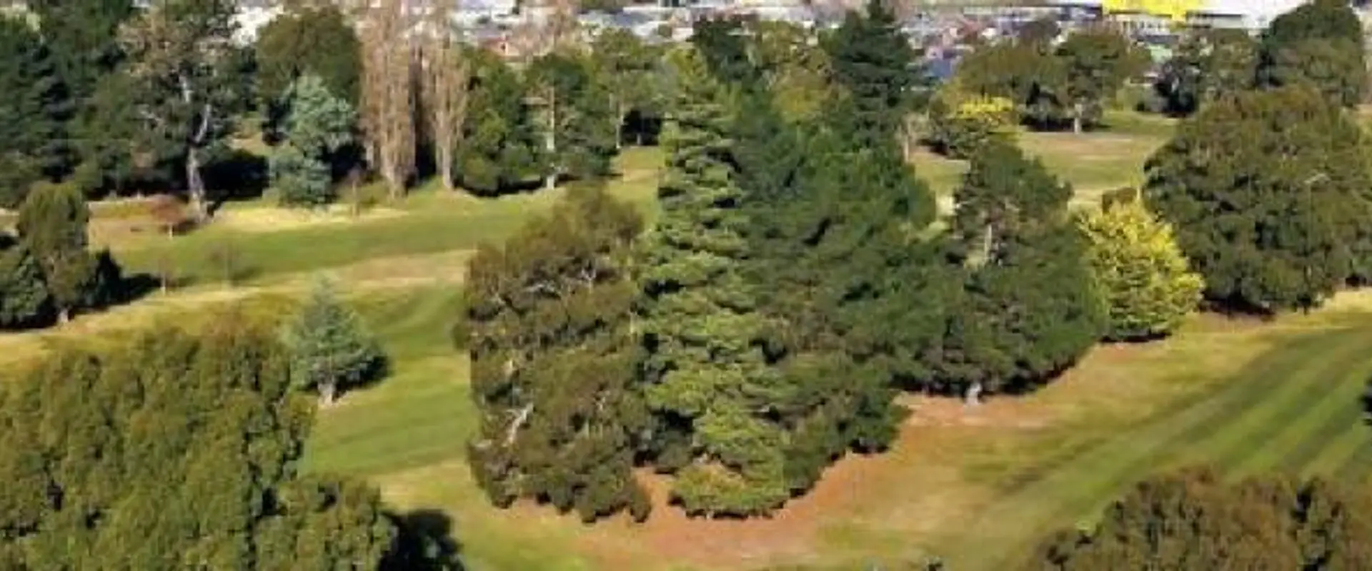 Kaituna Golf Course