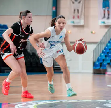 Boutique Basket Landes