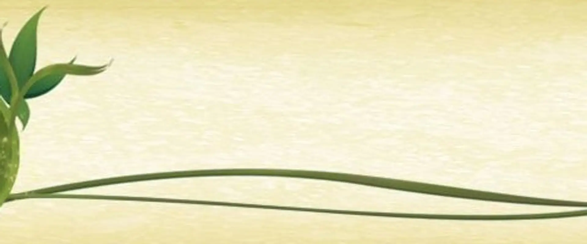 Gabriele Mendes, Acupunctrice / Acusant Wellness Laval