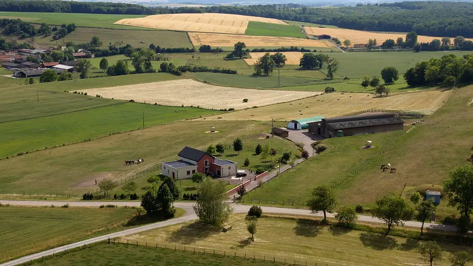 Elevage de la ferme du Patural - Universal Horse Riding