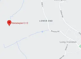 Horsewyse C I C