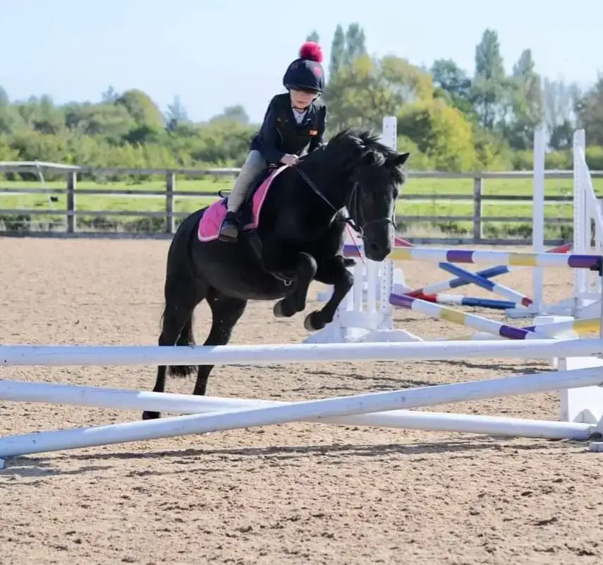 Bold Heath Equestrian Centre