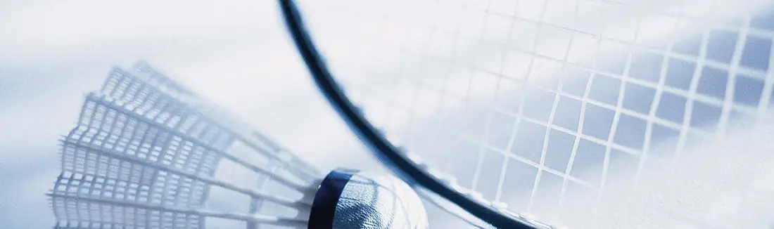 Cedars Badminton Club