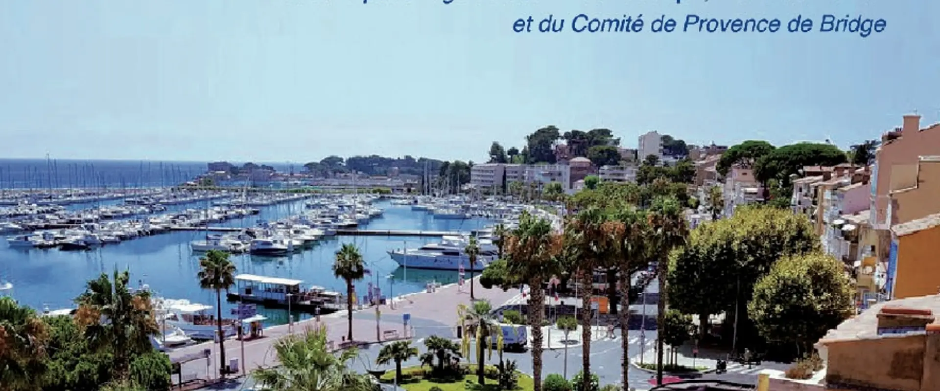 Committee Provence Bridge