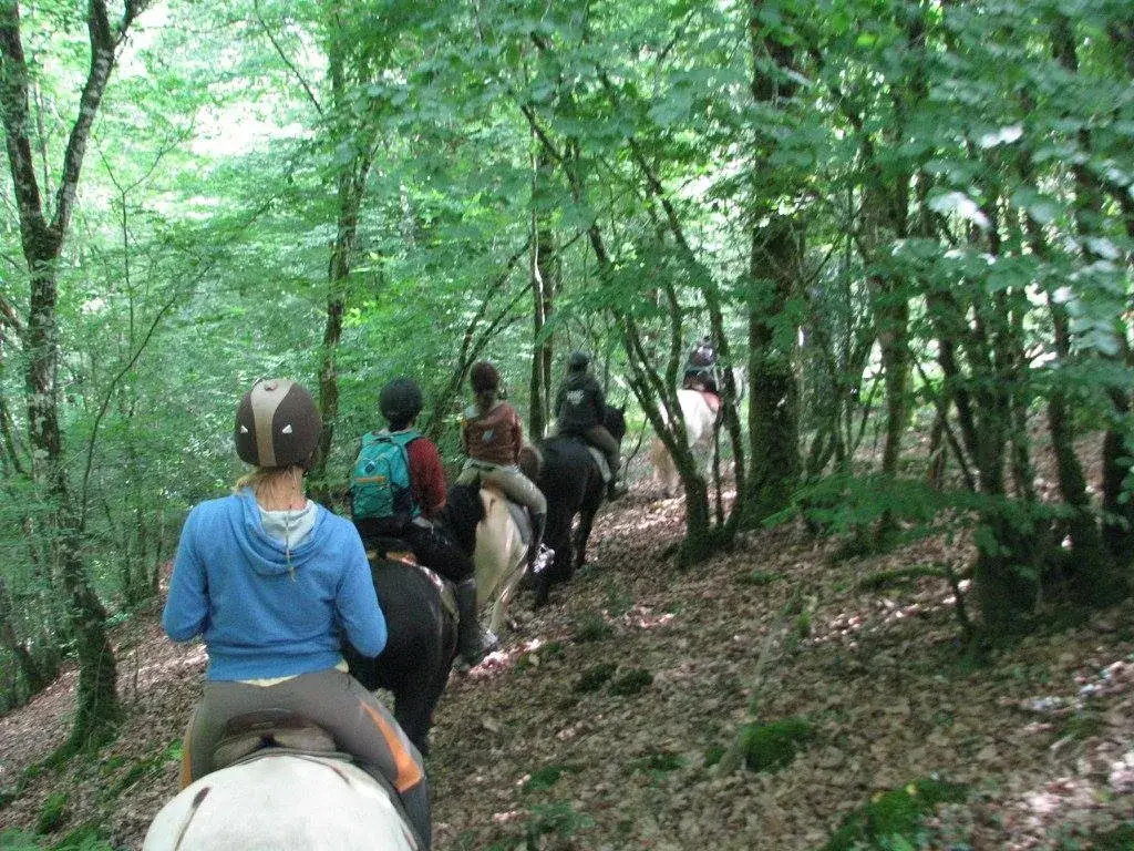 EQUI DETENTE