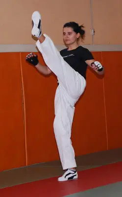 Koryo Dojang Taekwondo