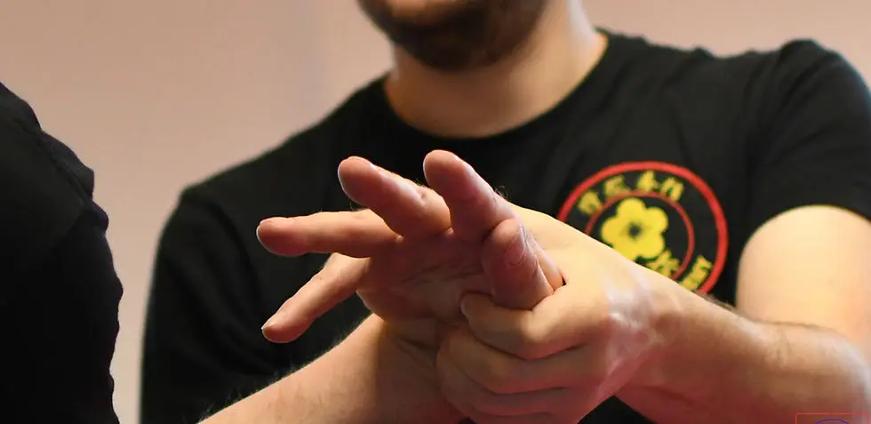 Muifaa Wing Chun