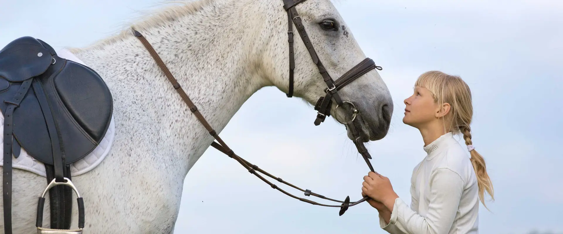 Hazelbank Equestrian