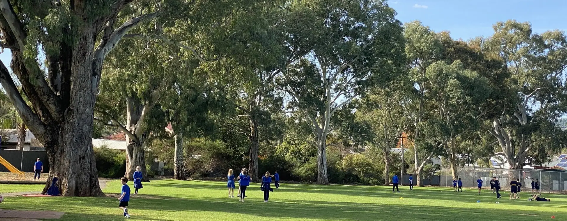 Mitcham Primary School